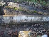 image of grave number 364356